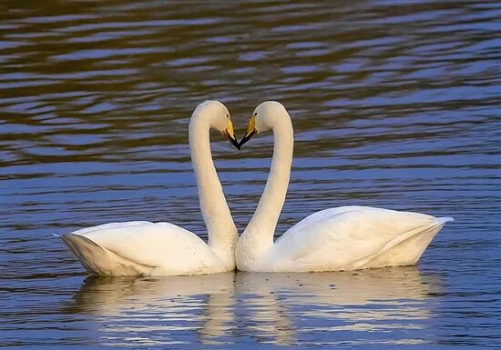 640 (1).jpg 640 (1).jpg