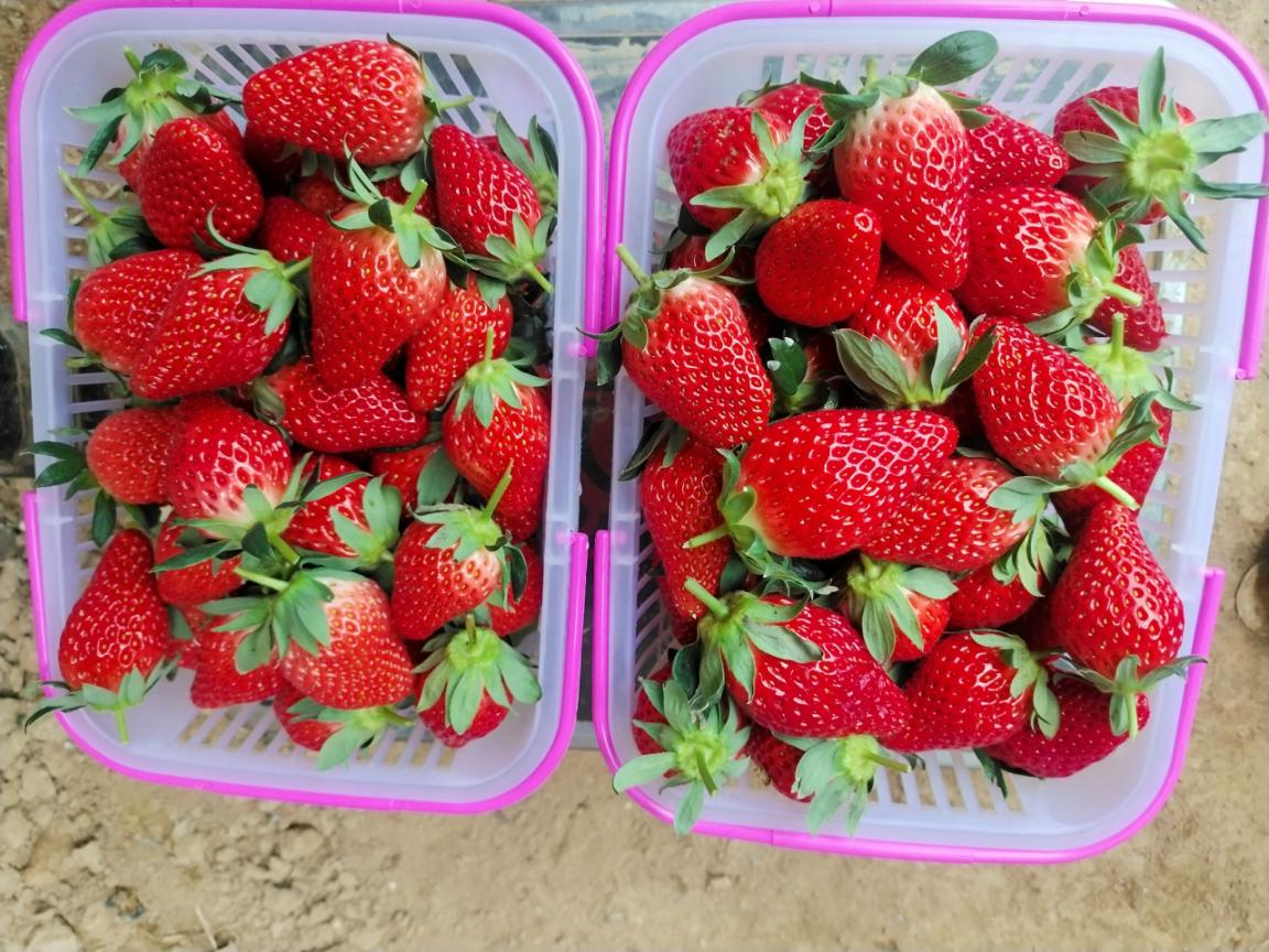 图片1.png 图片1.png