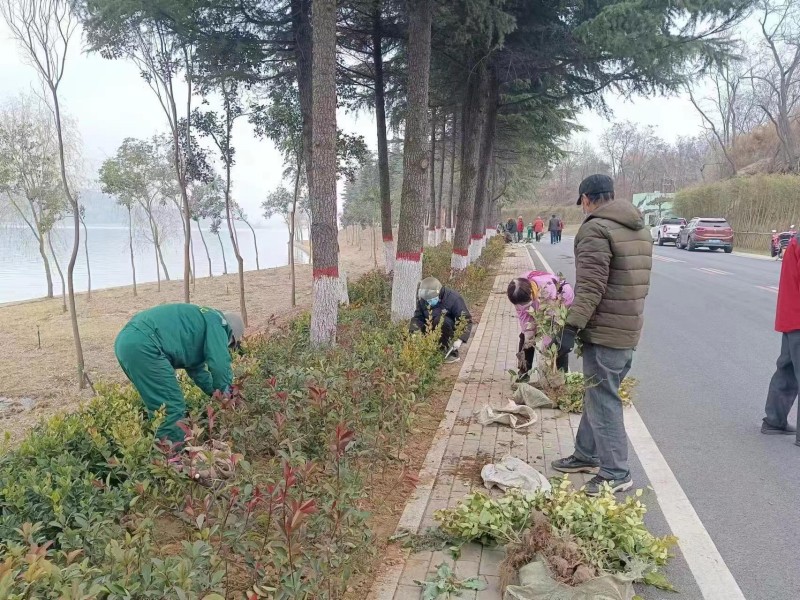 微信图片_20221227091340.jpg