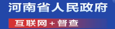 河南省人民政府互联网+督察