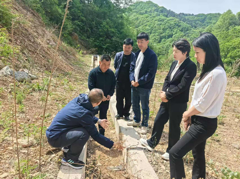 微信图片_20250523103108_副本.jpg