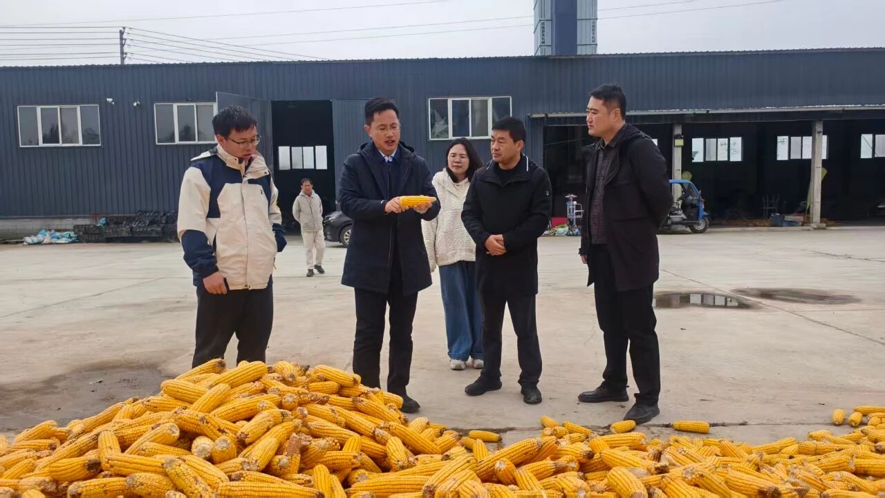 区领导孔利亚调研督导三秋生产和基层高效能治理等工作